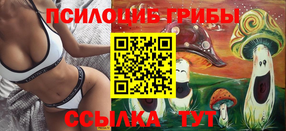 Галлюциногенные грибы мухоморы Петрозаводск