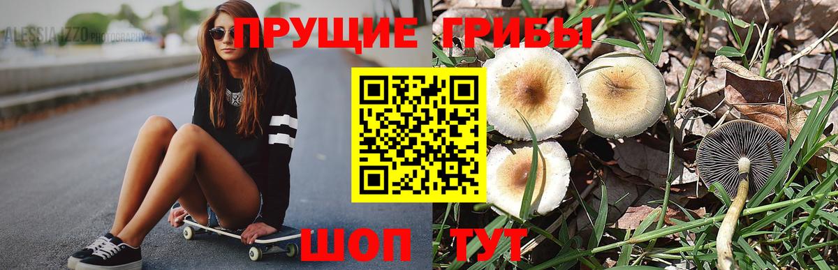 Петрозаводск  Псилоцибиновые грибы прущие грибы  Галлюциногенные грибы Psilocybine cubensis  Вход с VPN 